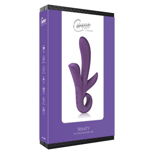 ToyJoy Trinity Triple Pleasure Vibrator Purple ToyJoy Trinity Triple Pleasure Vibrator Purple