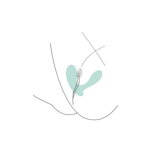 Xocoon DuoVibe II Tapping Vibrator Xocoon DuoVibe II Tapping Vibrator