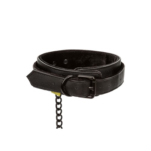 Boundless Collar and Leash Boundless Collar and Leash