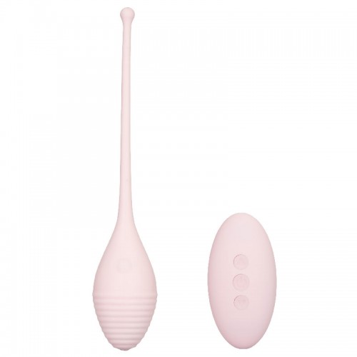 Inspire Vibrating Remote Kegel Exerciser Inspire Vibrating Remote Kegel Exerciser