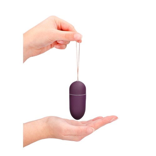 10 Speed Remote Vibrating Egg BIG Purple 10 Speed Remote Vibrating Egg BIG Purple
